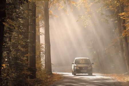 Statisches und dynamisches Verhalten